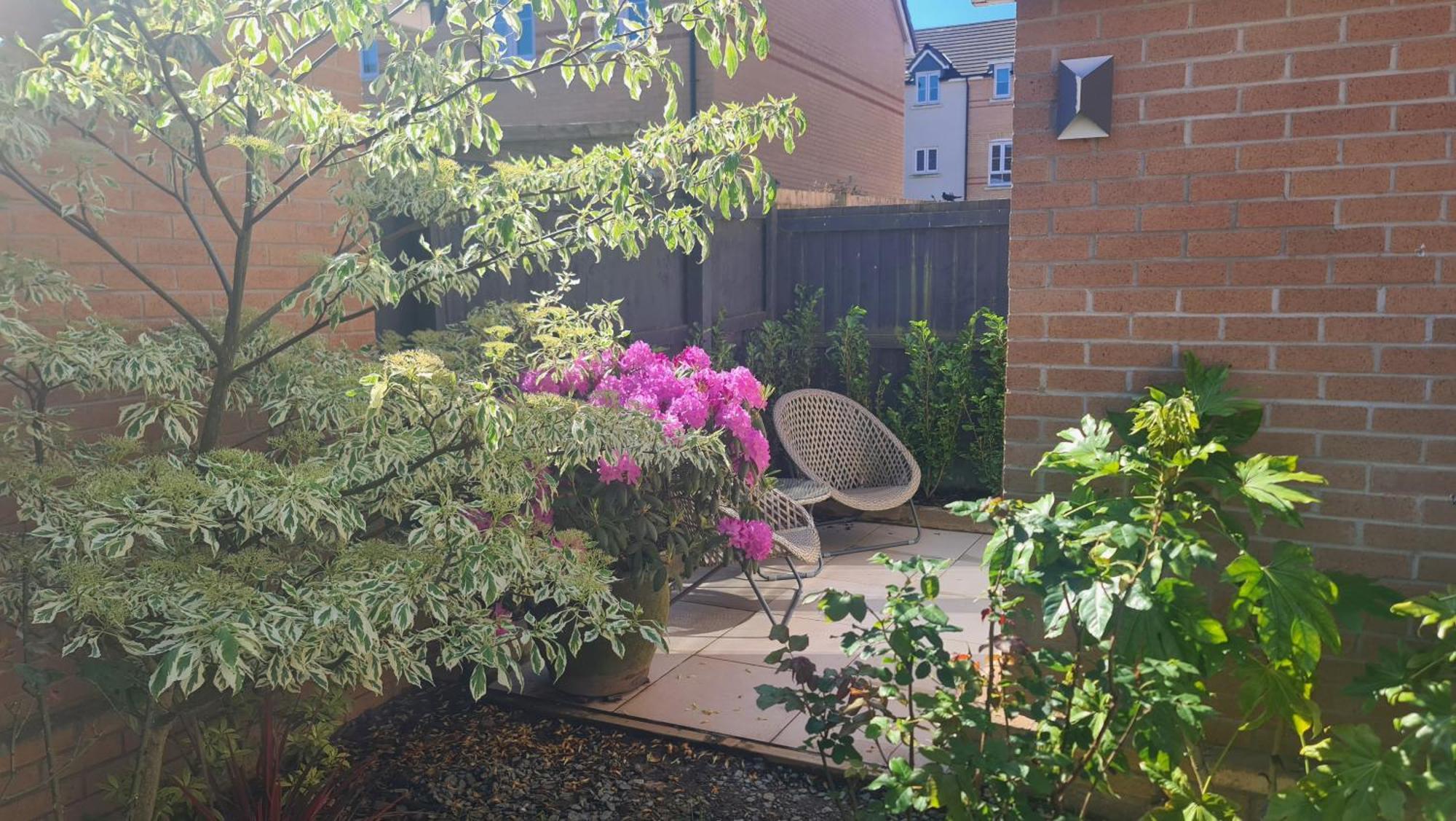 Self-contained And Peaceful En-suite With Garden Homestay